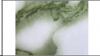  Пленка самокл.45см/8м Мрамор зеленый М-107-1/12/BellFIX 