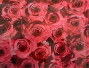  Клеенка силиконовая 0,8м*20м НЕПРОЗРАЧНАЯ (термостойкая) /Т4205