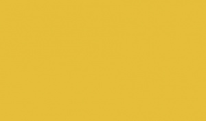  Пленка самокл.45см/8м Желтая темная 7004/20