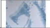  Пленка самокл.45см/8м Мрамор бело-голубой М-5264-2/12/BellFIX 