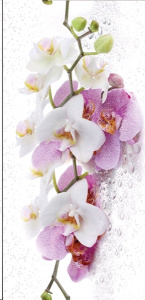 ъПанель ПВХ Цветок орхидеи 2,7м*0,25*0,007 /Новосиб.обл./ (10шт)
