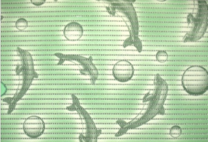 Коврик мерный ПВХ 0,65*15м "Aquadomer" Дельфины на зелен.фоне/090A (0.65)