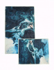  Набор ковриков д/ванной  BOMBINI HOME VELVET 2 предметные 50*80/50*40/S100