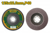 Круг лепестковый торцевой 125х22,2мм  P 40 JADEVER JDYL2301