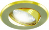 Светильник встраиваемый поворотный СВ 02-03 MR16 50Вт G5.3 матовый никель/золото TDM