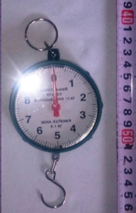 Безмен 10 кг (1д - 100гр.) ТЕ - 031 /300