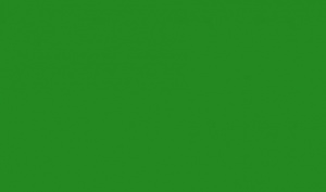 Пленка самокл.45см/8м Зеленая темная 7003/20