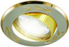 Светильник встраиваемый поворотный СВ 02-01 MR16 50Вт G5.3 матовый никель/золото TDM