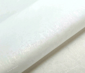 Штора рулонная  61*160см ЖАККАРД  Белый/6601061